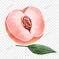 WWW,444av·COM网站APPAPP应用