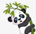 WWW,800av·COM网站APP